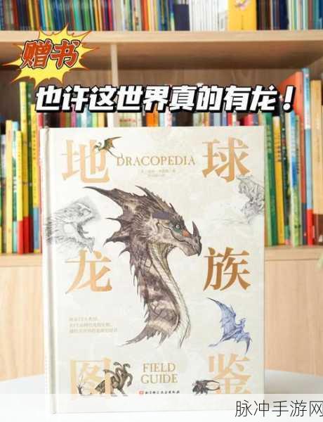 龙族幻想异闻大全深度解析,探索未知世界的奇妙之旅