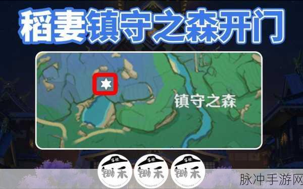 原神探索指南,揭秘雷神副本的隐秘位置