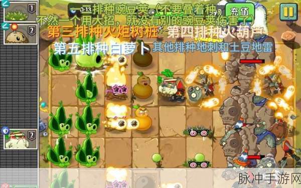 🔥植物大战僵尸2功夫世界全攻略,解锁所有关卡,称霸武林秘籍!