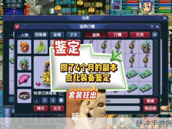 梦幻西游深度攻略,梦清丹在副本中的效果揭秘