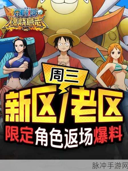 航海王燃烧意志最强R角色选择攻略，值得你倾注资源吗？