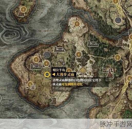 艾尔登法环价格对比，全球各地区售价详解