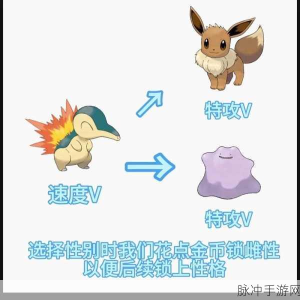 宝可梦孵蛋技巧全攻略，让你的小精灵蛋飞速破壳！