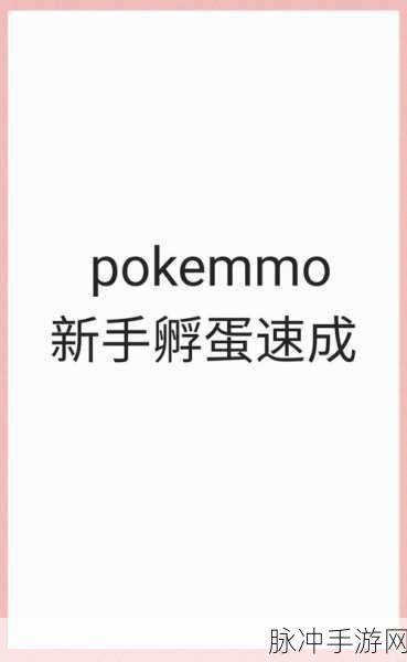 宝可梦孵蛋技巧全攻略,让你的小精灵蛋飞速破壳!