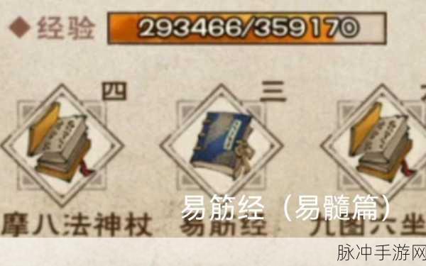 烟雨江湖易筋经修炼全攻略,从入门到精通