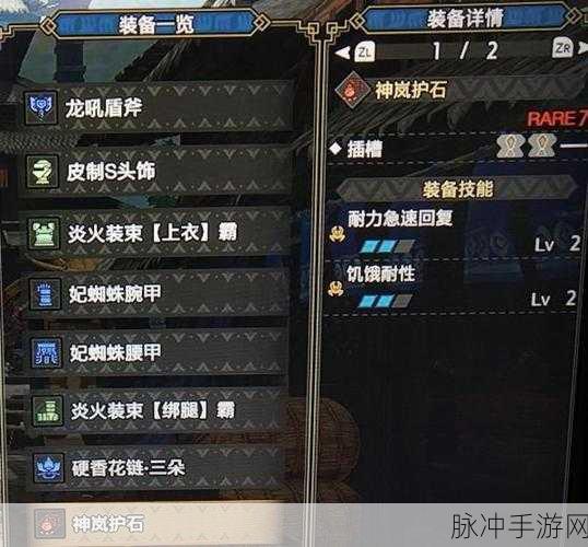 怪物猎人深度揭秘,体术护士角色定位与玩法技巧详解