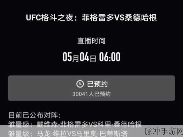 UFC281比赛出场顺序深度解析，手游攻略中的格斗盛宴