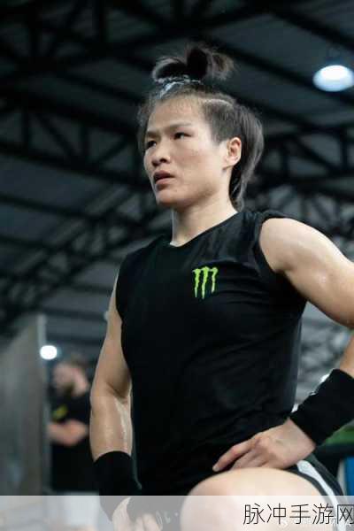 UFC281比赛出场顺序深度解析,手游攻略中的格斗盛宴