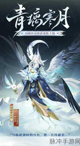 阴阳师因幡辉夜姬御魂搭配深度攻略