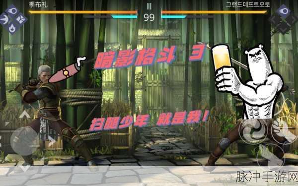 暗影格斗3最新版下载,探索融合了RPG元素的格斗游戏新境界
