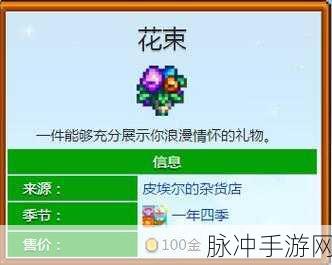 星露谷物语攻略,解锁海莉心仪礼物全揭秘