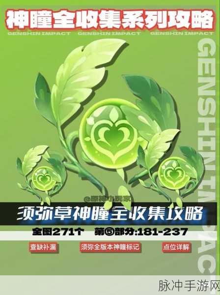 原神探索指南，揭秘须弥阿陀河谷草神瞳的高效采集策略