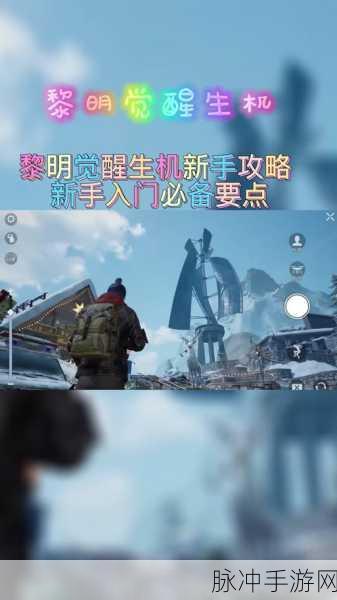 黎明觉醒深度攻略,路牌妙用与解锁攻略全揭秘