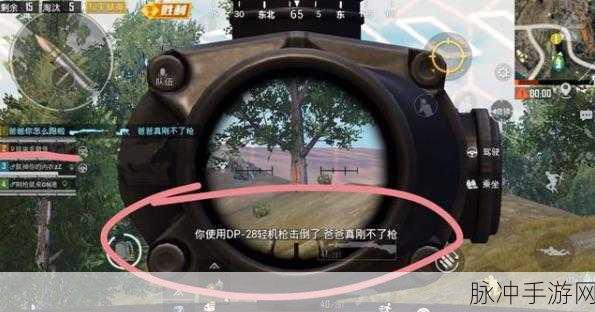和平精英DBS霰弹枪深度剖析,近战王者荣耀归来