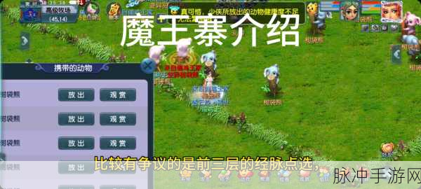 梦幻西游手游龟速魔王养成全攻略