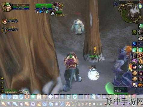 魔兽世界冬幕节攻略,全面解析如何获得冬幕节物品