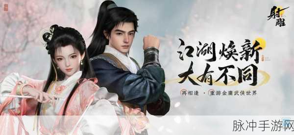 射雕焕新升级，武侠江湖再续新篇章，深度攻略与数据解析