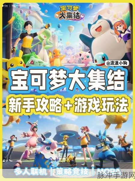 宝可梦大集结深度攻略，揭秘最新获取稀有宝可梦的独家方法