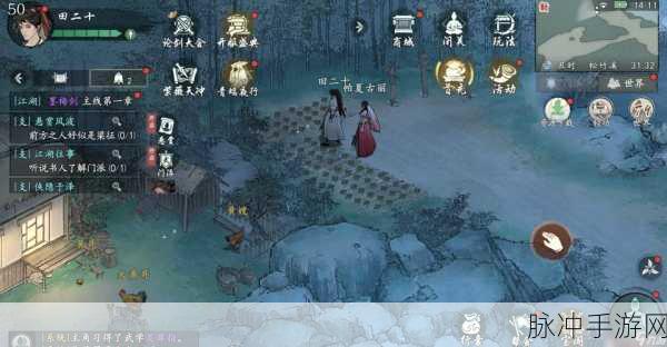 墨剑江湖深度攻略,宋大姑任务奖励全解析