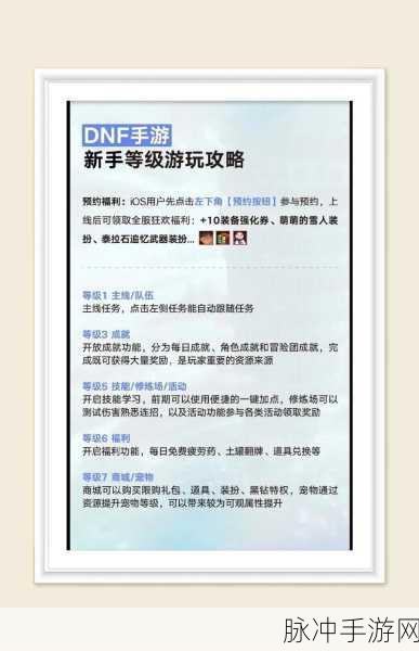 DNF手游攻略，门禁期间玩家能否参与鸟背副本挑战详解