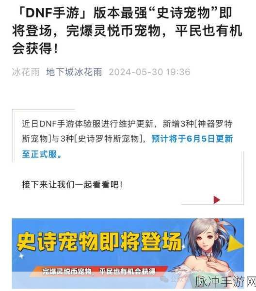 DNF手游全面攻略,解锁免费宠物,赢取珍稀奖励