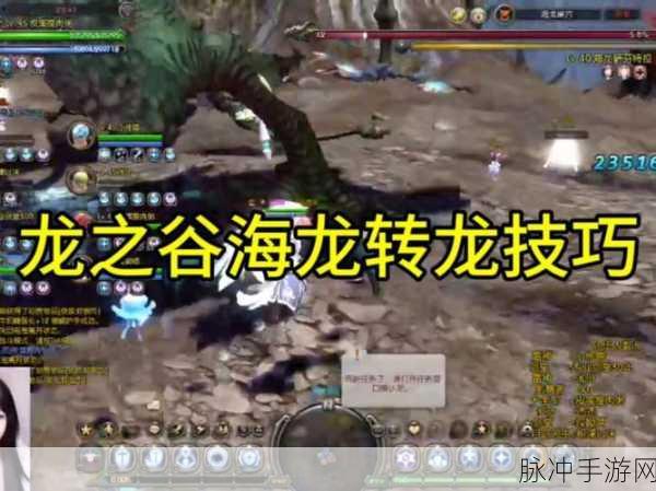 龙之谷手游攻略,海龙贤者技能搭配全解析