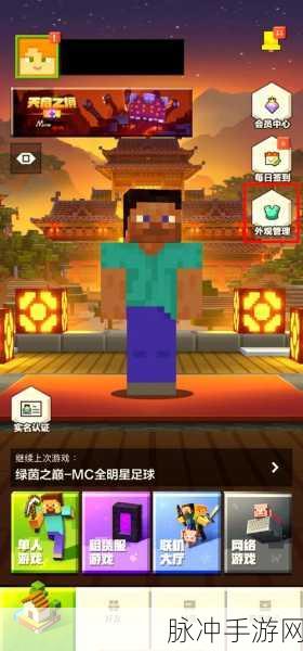 我的世界全皮肤解锁版，打造个性化游戏世界的终极指南