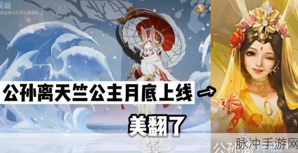 王者荣耀公孙离玉兔公主语音台词全揭秘,月华流转,灵动翩跹