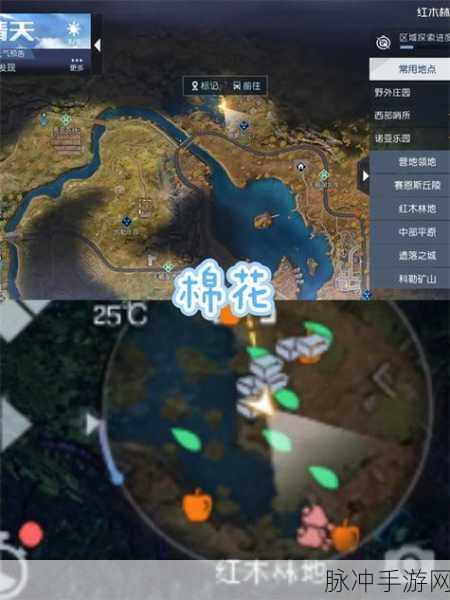 黎明觉醒木头采集途径全攻略，打造你的生存基石