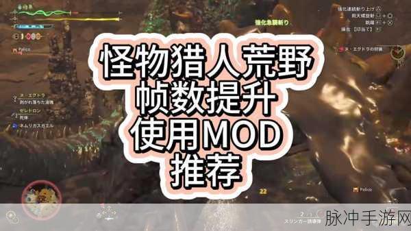 怪物猎人存档危机,玩家全面攻略,应对存档消失挑战