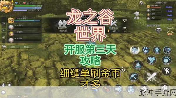2025年龙之谷手游挂机辅助全攻略,轻松升级,畅享冒险之旅