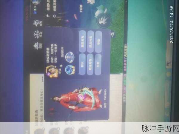 梦幻新诛仙香囊获取方法分享,全面解析获取途径与策略