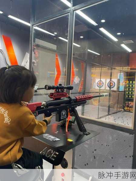射击灵球手机版,挑战无限,射击无界的游戏盛宴