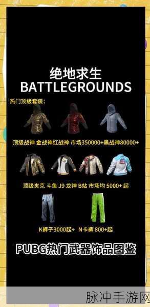 绝地求生手游领皮肤全攻略,解锁炫酷外观的秘籍