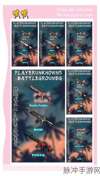 绝地求生手游领皮肤全攻略,解锁炫酷外观的秘籍