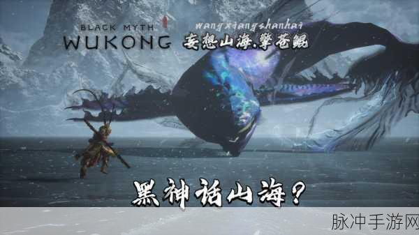 妄想山海手游攻略,揭秘寒冥鲲进化腾影鲲的终极蜕变之旅全攻略