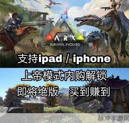 方舟生存进化，全面攻略指南——生存发展与进化策略深度解析