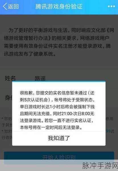 王者荣耀人脸识别验证机制深度解析，为何频繁触发及应对策略