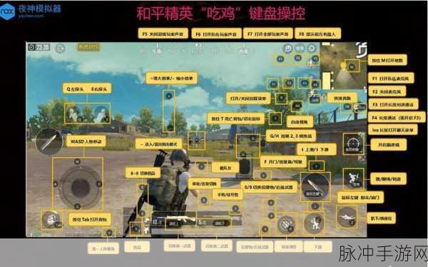 绝地求生刺激战场石板文字任务攻略,石板快速搜集秘籍