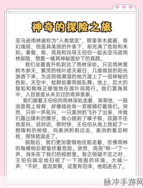 探秘完美世界，众妙之门幻境的奇幻之旅全攻略