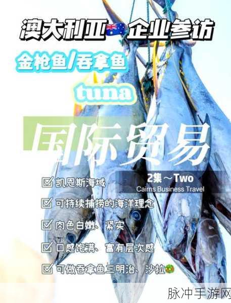 寻找金枪鱼罐头最新版本下载,解锁休闲益智新体验