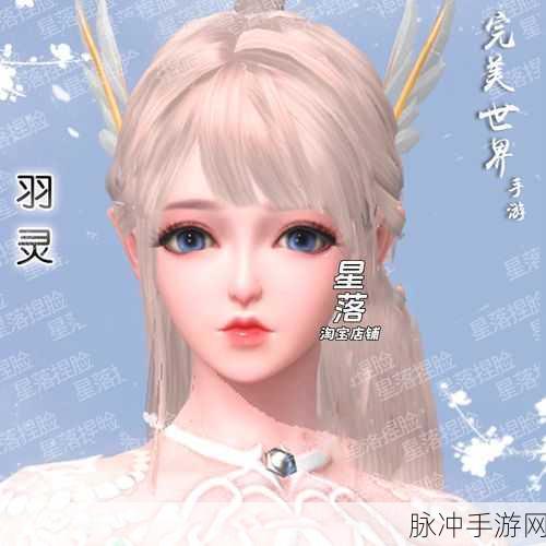 完美世界手游,法师转仙还是魔?深度解析与攻略指南