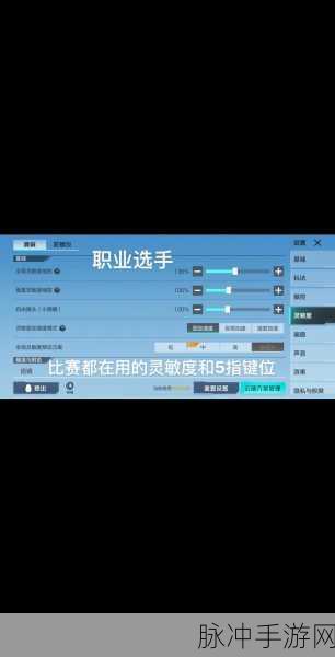 和平精英高手策略揭秘，为何陀螺仪并非制胜法宝？