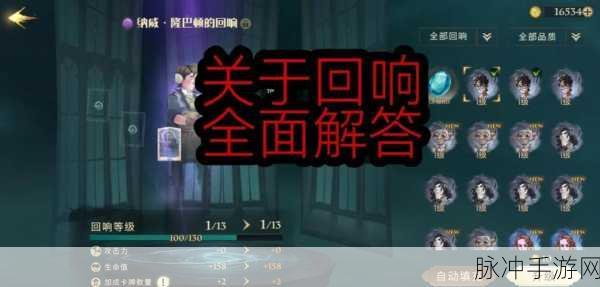 哈利波特手游攻略,揭秘贝拉回响的获取途径与搭配策略