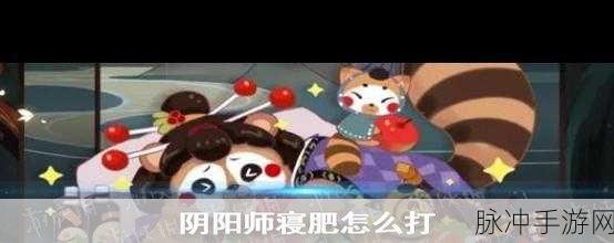 阴阳师寝肥玩法深度解析，策略与技巧并重