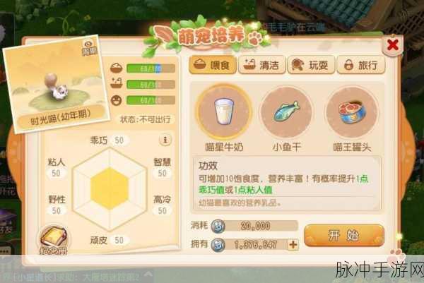 打造梦幻宠物世界，我自己的宠物店手游下载全攻略