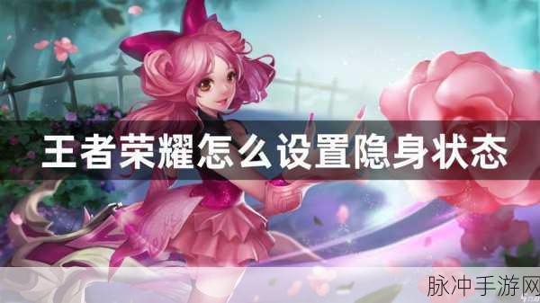 王者荣耀,全面解析如何设置及利用隐身功能