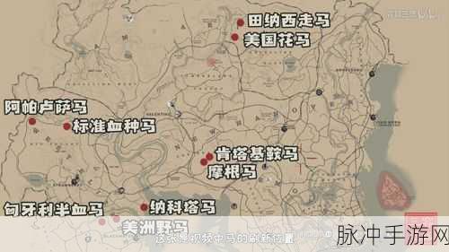 荒野大镖客2深度攻略,传奇动物叉羚羊与野马驯服技巧