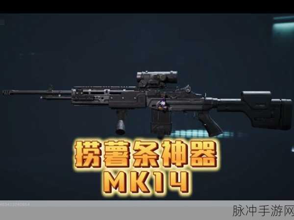 绝地求生MK14深度解析,揭秘空投神器的强大威力与精准掌控技巧