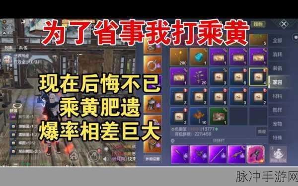 妄想山海肥遗攻略详解,全方位解析与实战技巧指南